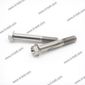 M10×65L Titanium High Tensile Alloy DIN6921 Bolts