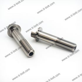 Titanium Swingarm Pinch Bolts (Flange Head)