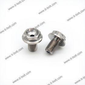 Titanium Front Axle Bolt