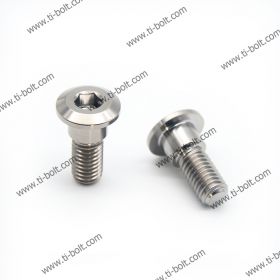 Triumph Titanium Alloy Rotor Bolts