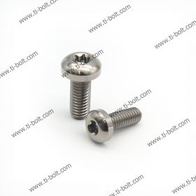 Titanium Harley Rotor Bolts