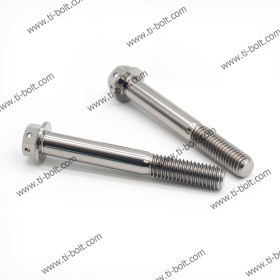 Titanium Caliper Pinch Bolts